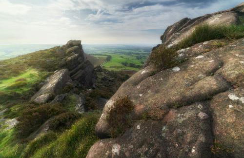 Silkwood House - Photo 13