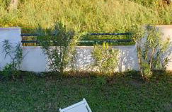 Corfu Olivia Apartments - Foto 20