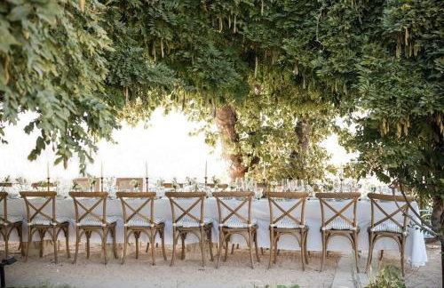 St Helena - Blair Spangler Design Group - Foto 56