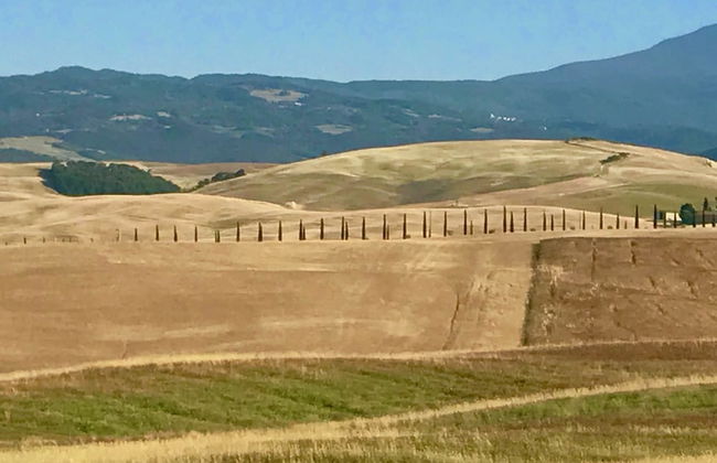 Charming Tuscan Farmhouse - Foto 39