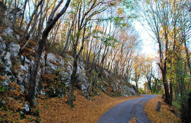 Affittacamere Valnascosta - Foto 30