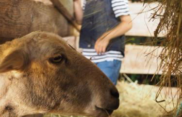 Romantische Wohnung Bauernhof, 100m2 offenes Dachgeschoss - Foto 12