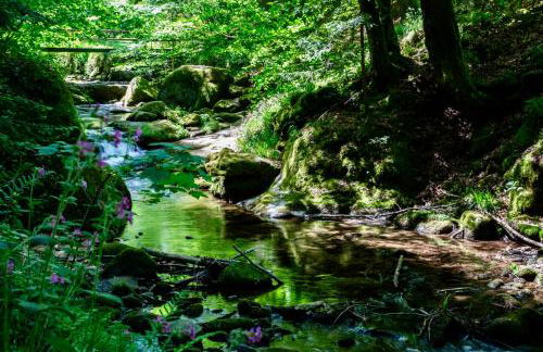 Erholung an den Wasserfällen - Ferienwohnung in Baden-Baden - Stilvolles Apartment mit Terrasse, Parkplatz & ruhiger Lage - Foto 46