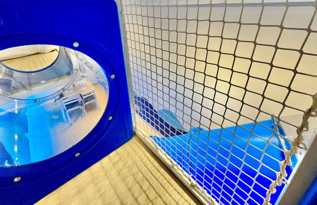 Sunway GRID by SR Home - Foto 53