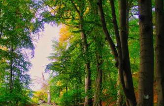 modernes Ferienhaus Sonnendeck 70 QM I Strandnah I Terrasse I 2 Schlafzimmer I Nähe Werbellinsee - Photo 27
