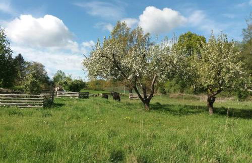 Moderne Wohnung im Herzen der Natur - Ingo's Dream - Foto 15