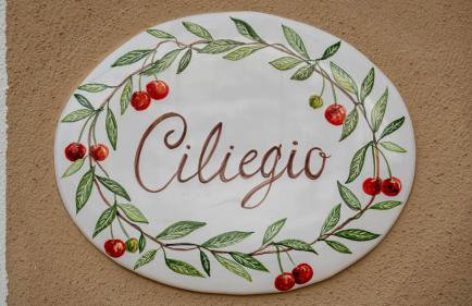 Agriturismo MASSERIA QUISISANA - Photo 10