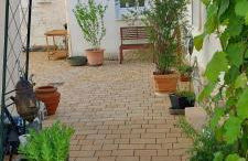 Ferienhaus Cornelia - Foto 3