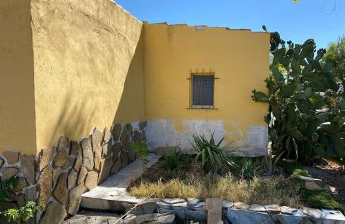 Finca los Nardos de Miraltajo - Foto 38