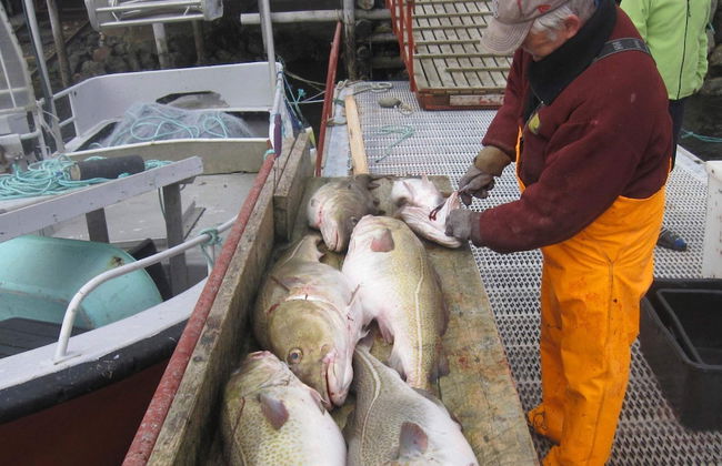 6 Person Holiday Home in Oksvoll - Foto 14