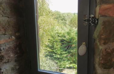 - - - - -Les Colombages - - - - Chambre d'hôtes-Gîte- Classement Gîte 3 étoiles - Foto 15