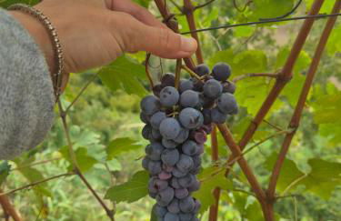 Agriturismo Dei Magi - Foto 26