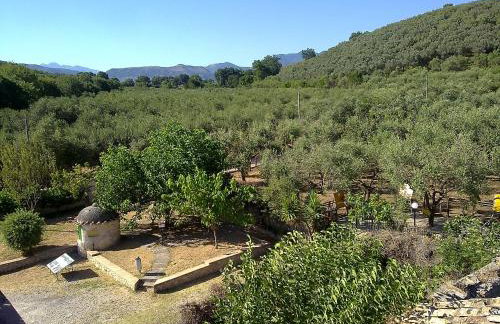 Masseria Sparano - Foto 14