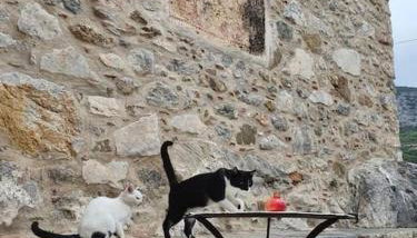 A small paradise in Mani with local hospitality - Foto 3