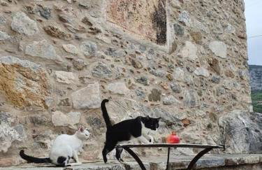 A small paradise in Mani with local hospitality - Photo 3