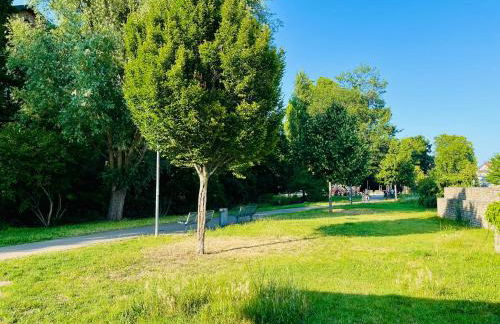 Pfalz Apartments - zentral, elegant, komfortabel - Foto 70