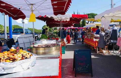 Les flamants Roses la Capte Clim 4pers 100m plage - Foto 27