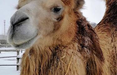 Apartment Nebo - Foto 3