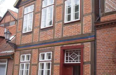 Lazy Elbfish - Foto 1