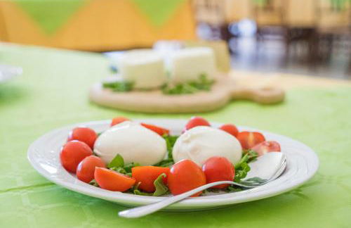 AGRITURISMO SCALELLE - Foto 98