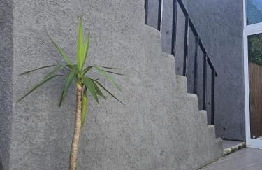 Recanto Vital - Photo 11