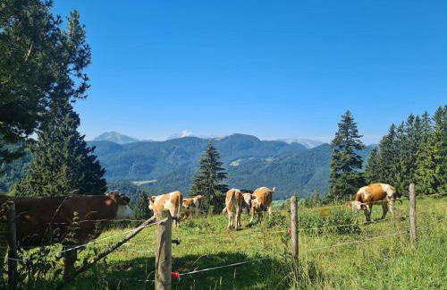 Ferienhaus Bergblick 170qm nur 5 min zum Chiemsee - Foto 66