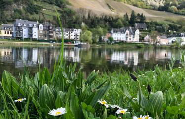 Ferienwohnungen und Gästezimmer Peter Busch - Foto 25