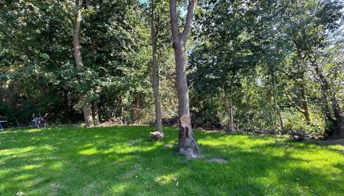 Ferienhaus Traumhafft - Foto 3, Garden