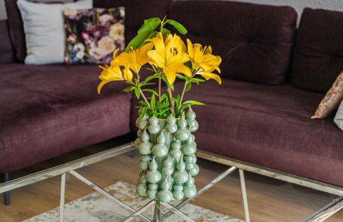 Marazul Sunset - Foto 7