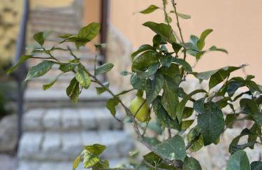 Casa Ada Chia - Foto 19