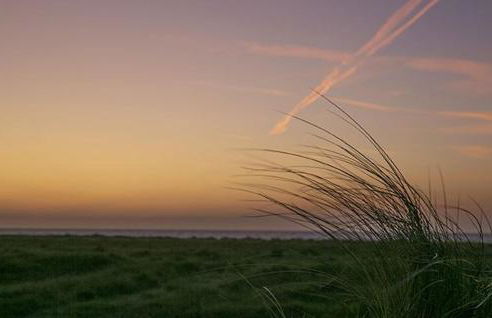 Columbine Cottage - Foto 31