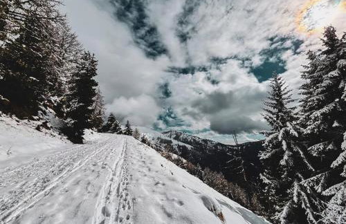 La Cabane de Marie - Foto 29