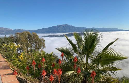 Casa Rural Finca Volando in the mountains of Málaga - Foto 65