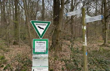 große und luxuriöse Ferienwohnung für max 8 Gäste - Foto 55