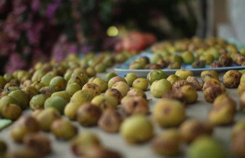 Small house at seafront - Photo 30