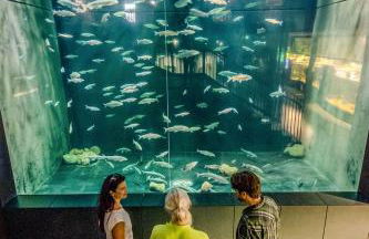 Ferienwohnung KonradAlbrecht - Foto 38