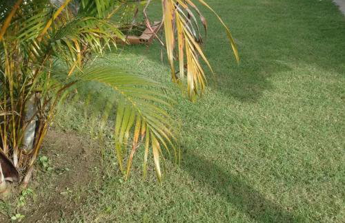 Casa de temporada - Mar e descanso - Foto 15