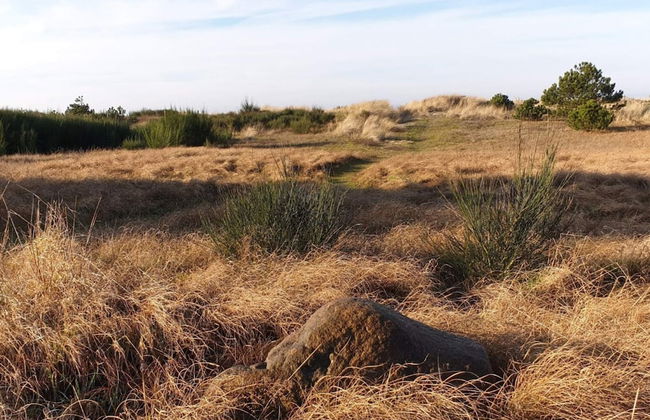 8 Person Holiday Home in Store Fuglede - Foto 19