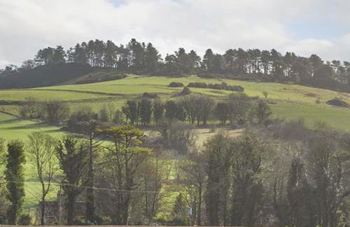 Whitey Top Country Lodge - Photo 24