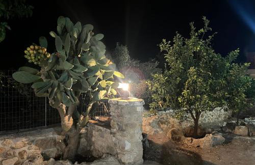 Traditional house Nikos - Foto 21