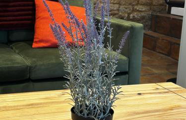 Little House Annexe - Foto 16