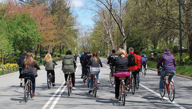 Tour em bicicleta no Central Park - Foto 3