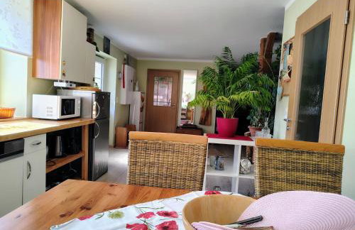 Ferienhaus Altes Kabinett - Foto 18