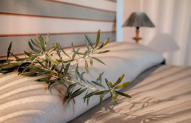 Fontes Episcopi - Foto 14