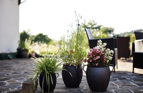 Agroturystyka Akacjowe Zacisze - Foto 52