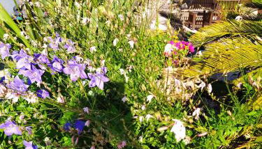 Appartement Giovanna - Photo 4