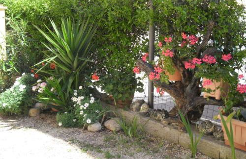 Appartamenti Claudia Rio - Foto 49