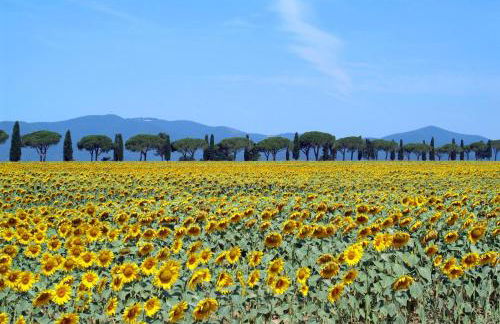 Agriturismo Le Chiare Stelle - Foto 47