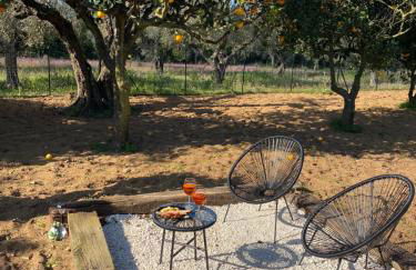 Villa Medusa - Foto 12