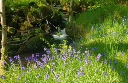 Bijou Cottage in Brontë Country with Wood-burning Stove & Hot Tub Spa - Foto 41